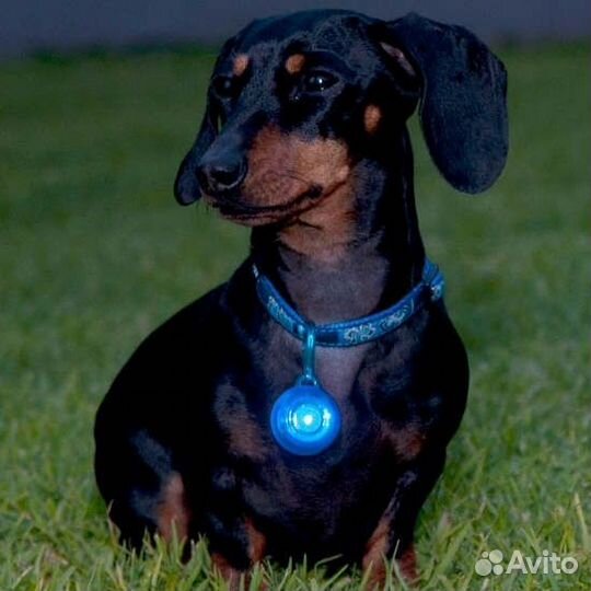 Rogz светящаяся подвеска, красный