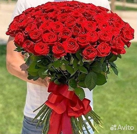 Розы Высокие 150см 160см 170см 180см 190см 2м