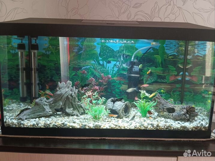 Аквариум
