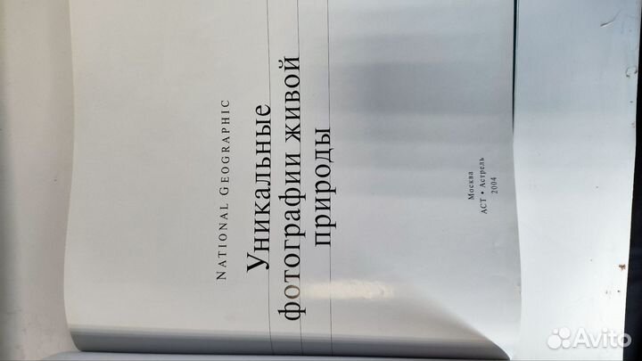 Уникальные фотографии живой природы