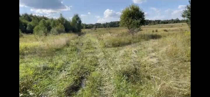 Участок 6 га (СНТ, ДНП)