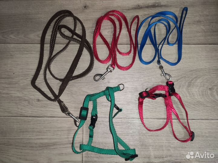 Поводки и шлейки для кошек и собачек