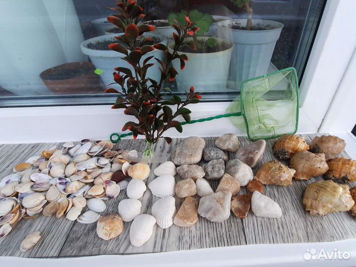 Камни,сачок,ракушки для аквариума