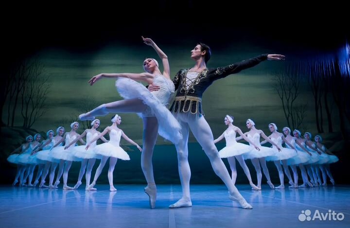Билеты в Большой театр на балет Лебединое озеро