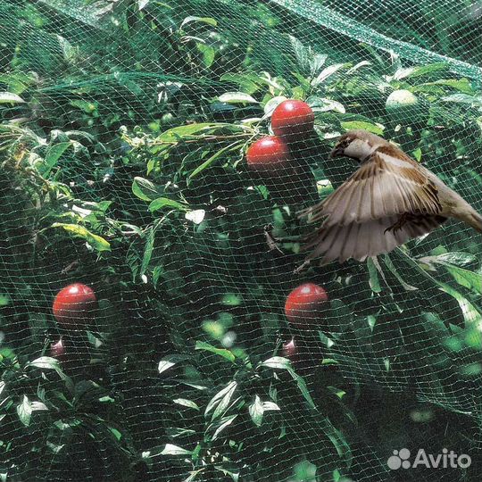 Сетка от птиц