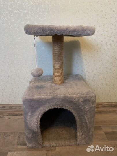 Когтеточка