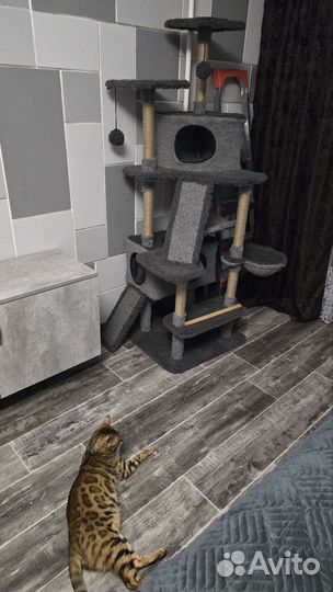 Домик для кошки с когтеточкой высокий