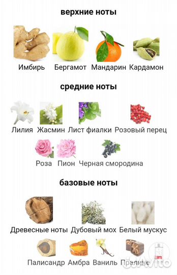 In Red Armand Basi (Арманд баси ин ред) 100 мл