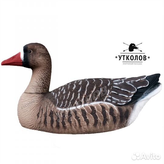Чучело разборное гуся 