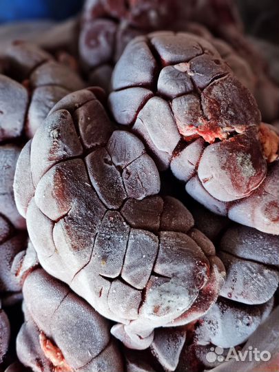 Легкое, почки и другое на корм животных