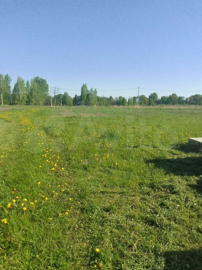 Участок 24 сот. (ИЖС)