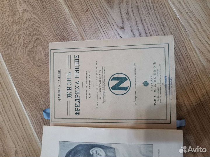 Галеви, Д. Жизнь Фридриха Ницше / Даниэль Галеви