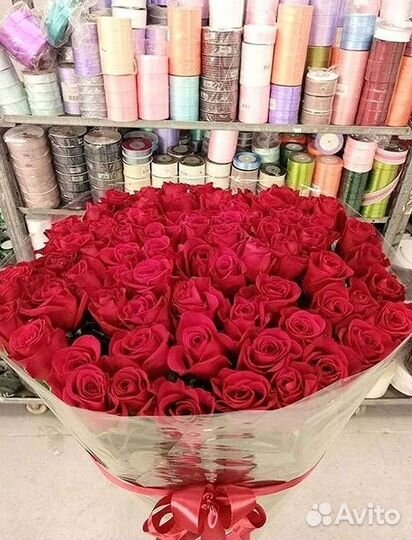 Высокие розы Гигантские розы Доставка цветов