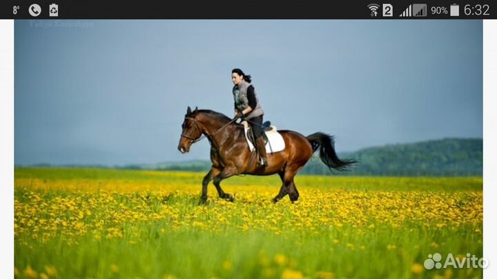 Постой лошадей