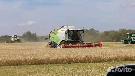 Продажа пшеницы,ячмень,гороха,горчицы,льна,жмыха(р купить в Порецком ...