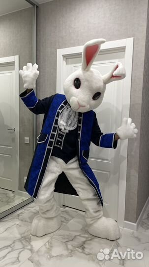 Ростовая кукла/костюмы продаю