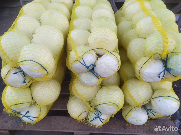 Капуста оптом