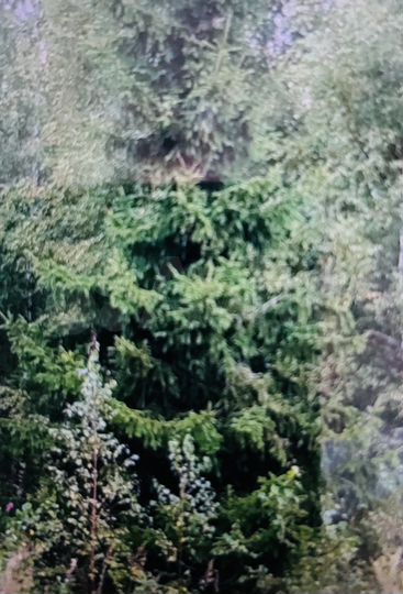 Участок 15 сот. (СНТ, ДНП)