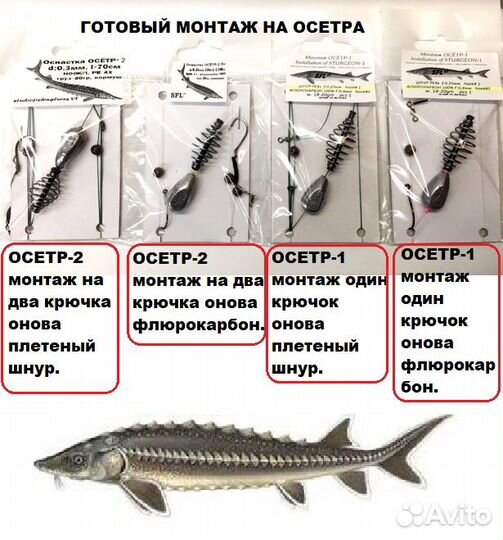 Готовый монтаж на осетра для платных водоёмов