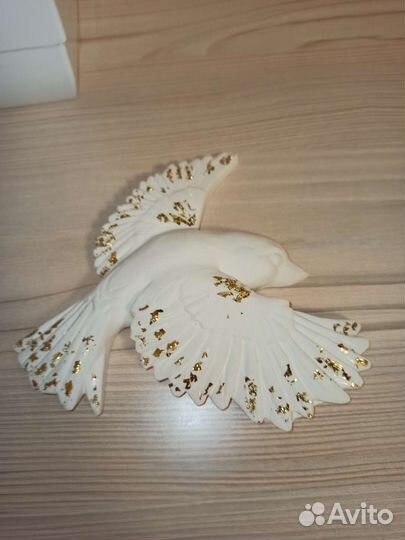 Пано на стену Полет птиц, парящие птицы