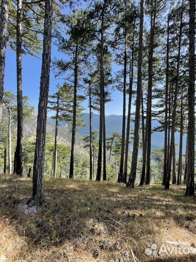 Прокат эндуро мотоциклов TRX 2024 ktm husqvarna