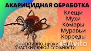 Обработка участков от клещей