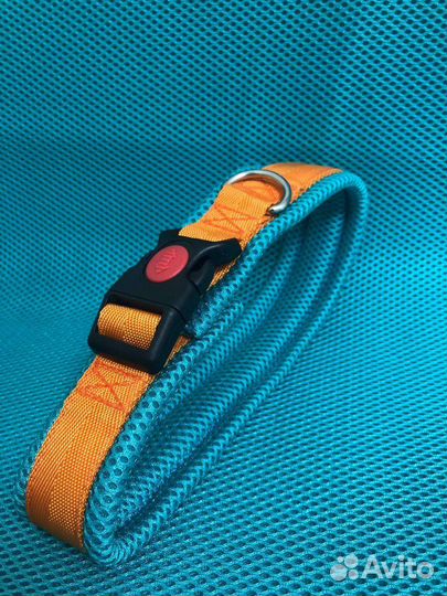 Ошейник для собак