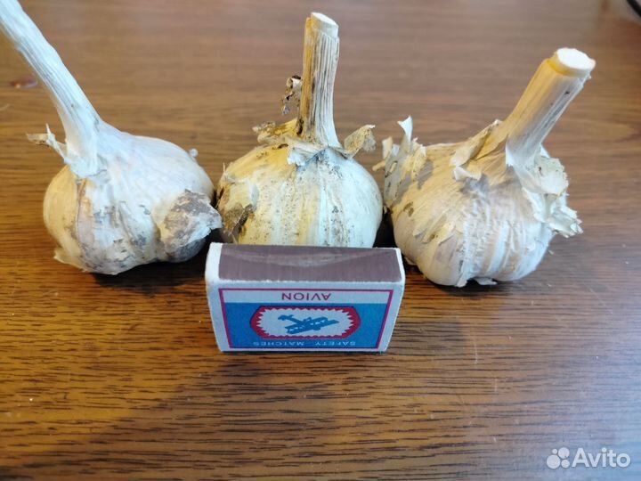 Щи зеленые, кабачки,чеснок, перец сладкий домашний