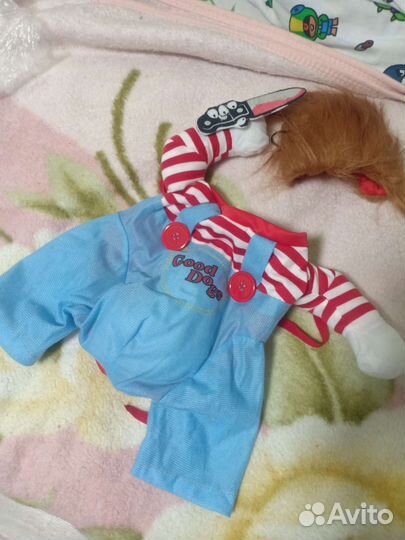 Костюм для собаки Новый