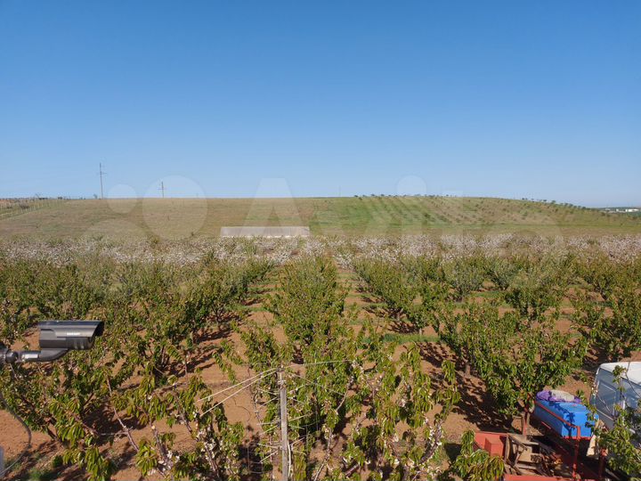 Участок 4 га (СНТ, ДНП)