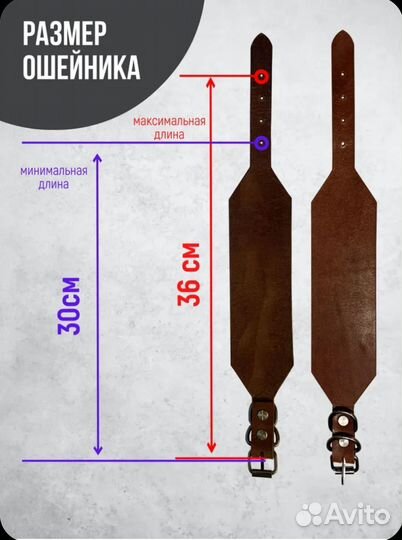 Ошейник для собак