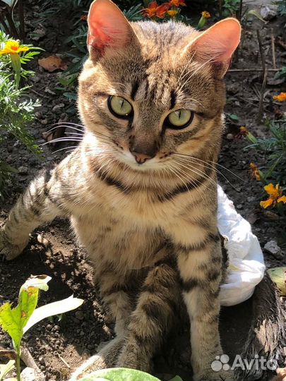 Вася не может ходить, но хочет жить