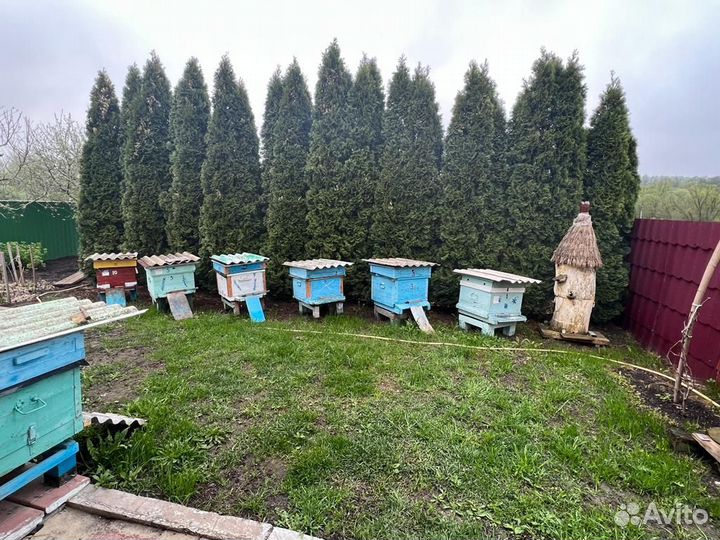 Продам ульи для пчел