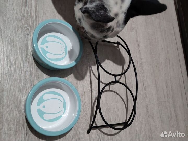 Миски на подставке для собак мелких пород