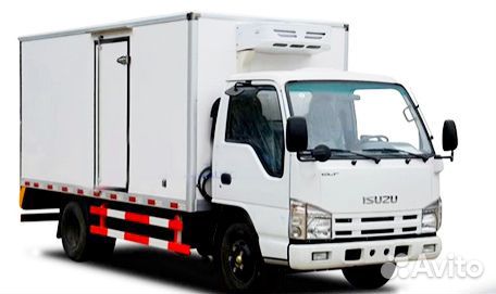 Isuzu Elf (N-series), 2024