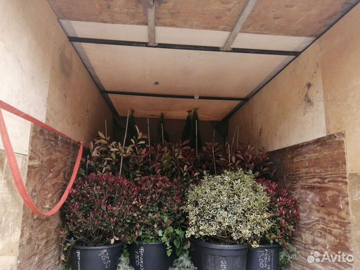 Грузоперевозки, газель