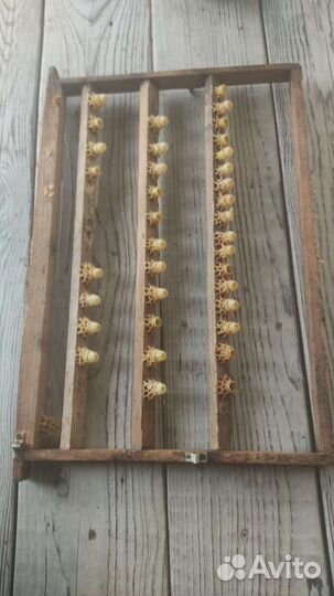 Маточное молочко, мёд