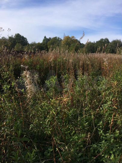 Участок 8,5 сот. (ИЖС)