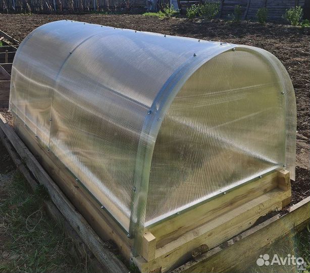 Парник бабочка