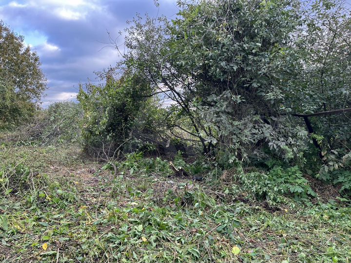 Участок 4 сот. (СНТ, ДНП)