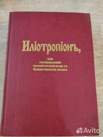 Илиотропион