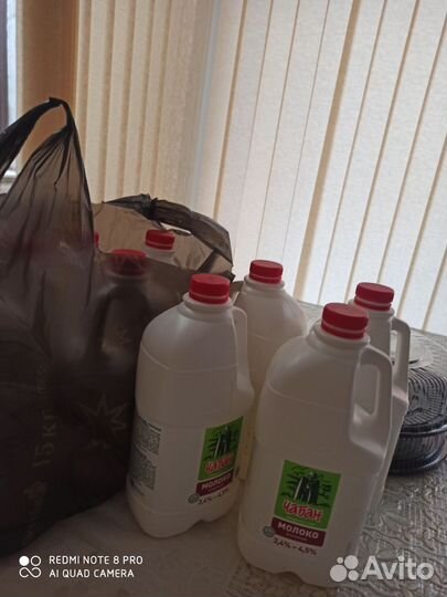 Пластиковая посуда. Стеклянные бутылки