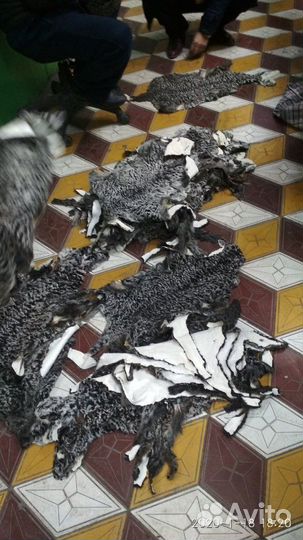 Каракулевые папахи ушанки