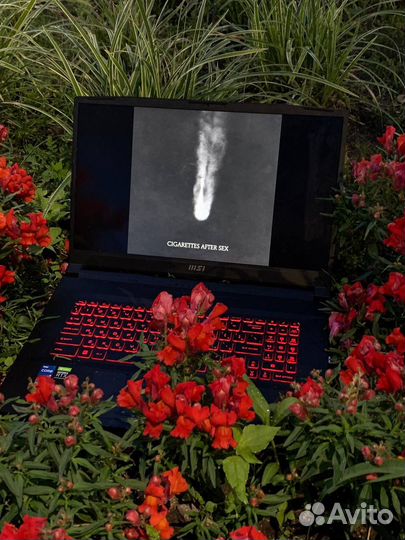MSI Katana g76
