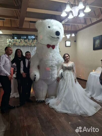 Белый Мишка поздравление