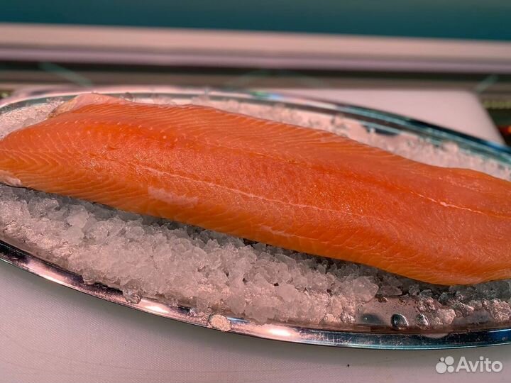 Лосось филе слабосолённый. Доставка. Опт
