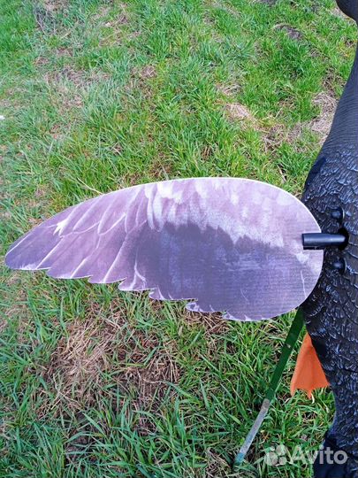 Махокрыл гусь