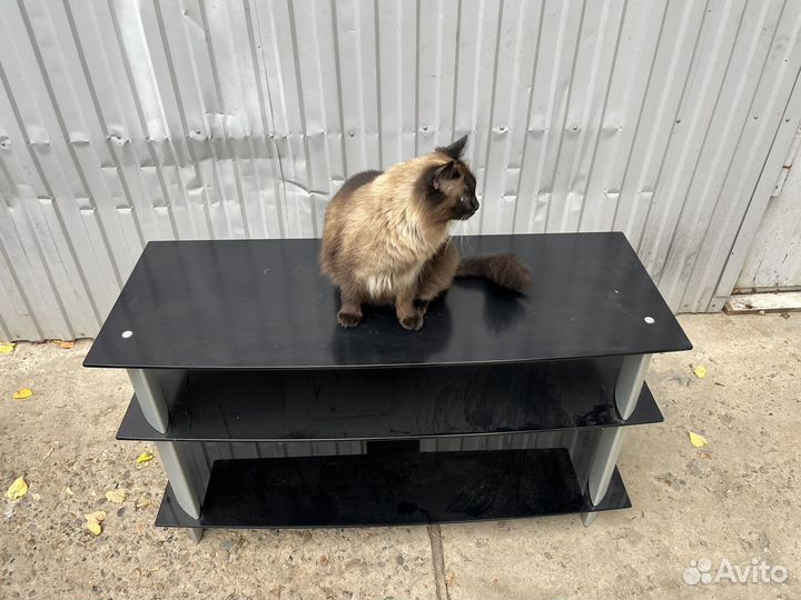 Стеклянная тумба под тв