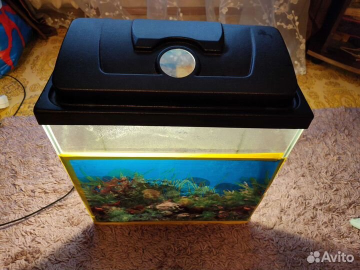 Аквариум