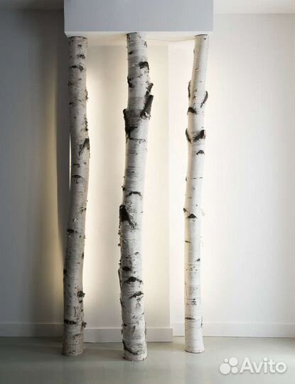Ствол дерева из берёзы, осины, рябины, хвойных